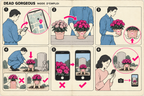 CHRYSANTHEMUMS — PINK